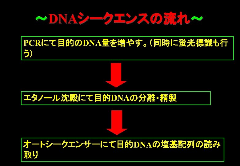 ～DNAシークエンスの流れ～ PCRにて目的のDNA量を増やす。（同時に蛍光標識も行 う） エタノール沈殿にて目的DNAの分離・精製 オートシークエンサーにて目的DNAの塩基配列の読み 取り 