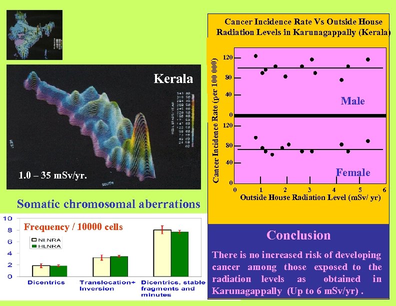 Kerala 1. 0 – 35 m. Sv/yr. Somatic chromosomal aberrations Frequency / 10000 cells