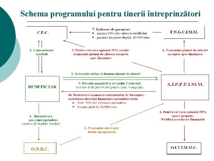 Schema programului pentru tinerii întreprinzători 18 