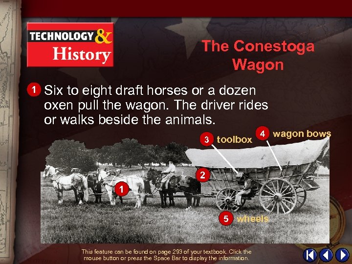 The Conestoga Wagon 1 Six to eight draft horses or a dozen oxen pull