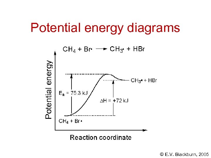 Potential energy diagrams © E. V. Blackburn, 2005 