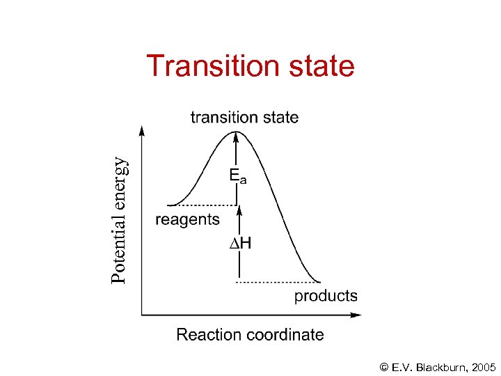 Potential energy Transition state © E. V. Blackburn, 2005 