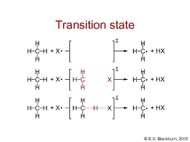 Transition state © E. V. Blackburn, 2005 