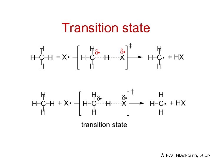 Transition state © E. V. Blackburn, 2005 