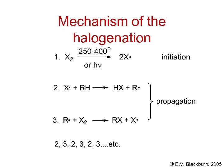 Mechanism of the halogenation © E. V. Blackburn, 2005 