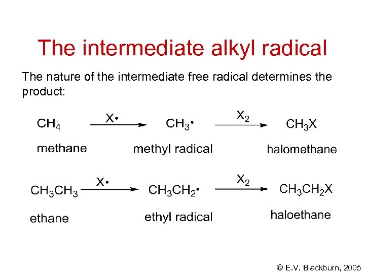 The intermediate alkyl radical The nature of the intermediate free radical determines the product: