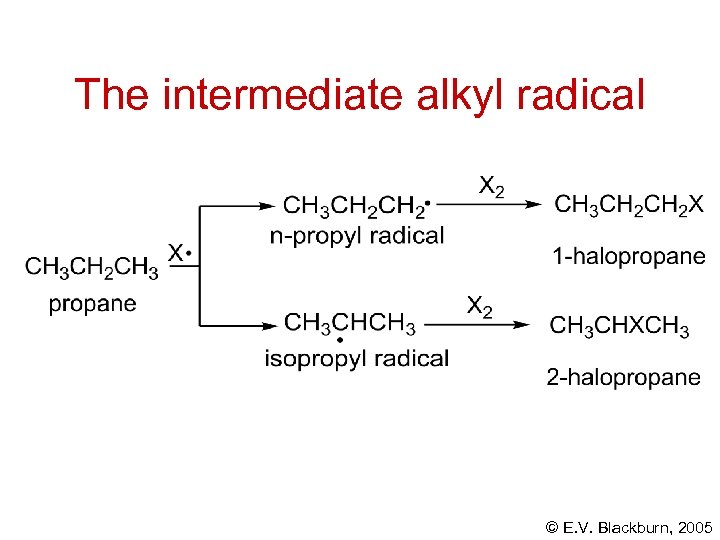 The intermediate alkyl radical © E. V. Blackburn, 2005 