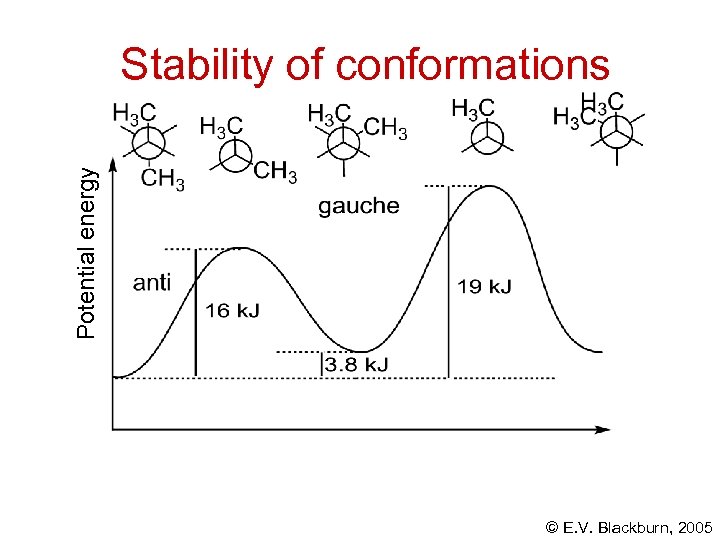 Potential energy Stability of conformations © E. V. Blackburn, 2005 