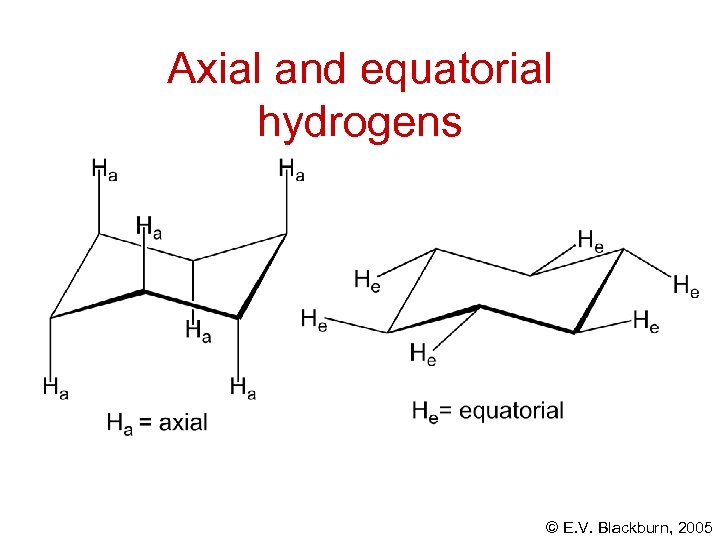 Axial and equatorial hydrogens © E. V. Blackburn, 2005 