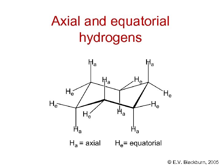 Axial and equatorial hydrogens © E. V. Blackburn, 2005 