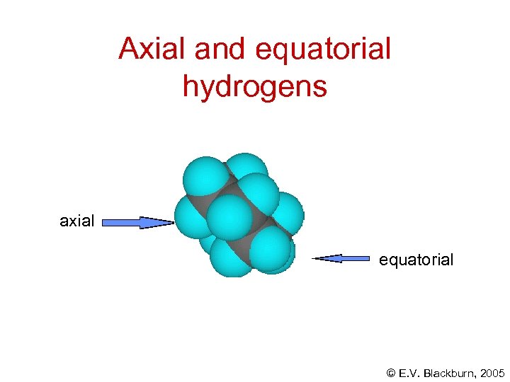 Axial and equatorial hydrogens axial equatorial © E. V. Blackburn, 2005 