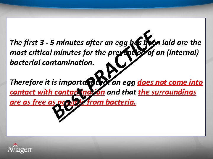 E IC The first 3 - 5 minutes after an egg has been laid