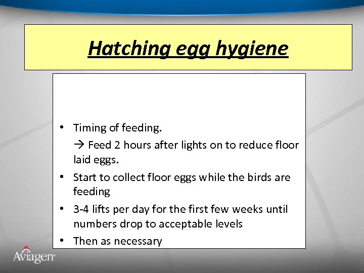 Hatching egg hygiene • Timing of feeding. Feed 2 hours after lights on to