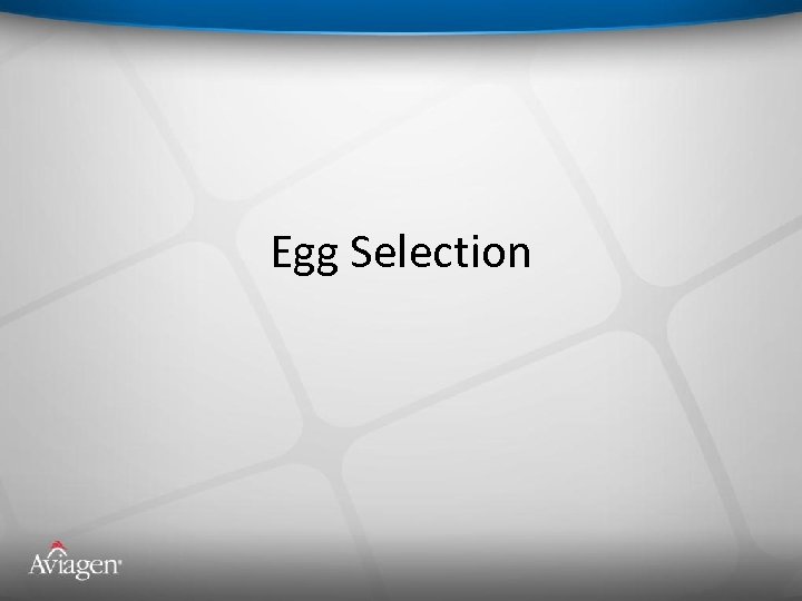 Egg Selection 