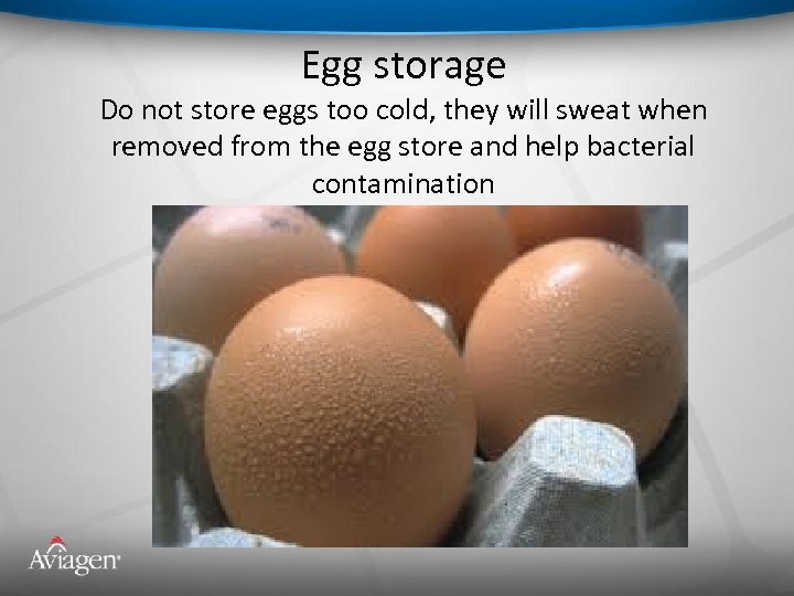 Egg storage Do not store eggs too cold, they will sweat when removed from