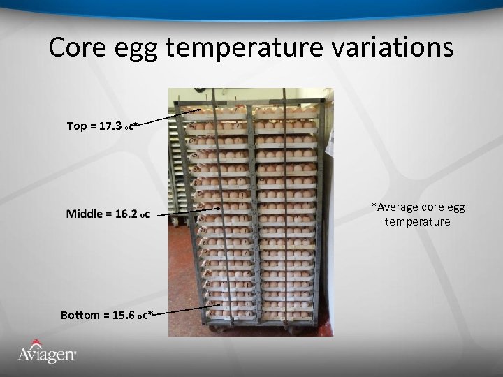 Core egg temperature variations Top = 17. 3 oc* *Average core egg temperature Bottom