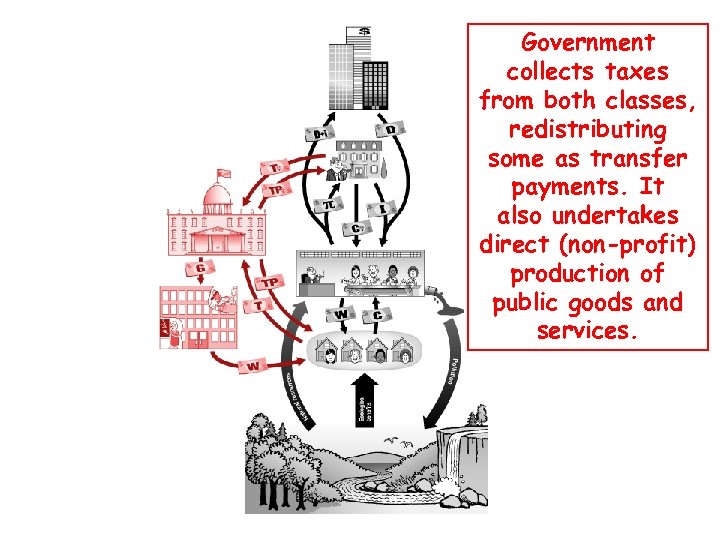 Government collects taxes from both classes, redistributing some as transfer payments. It also undertakes