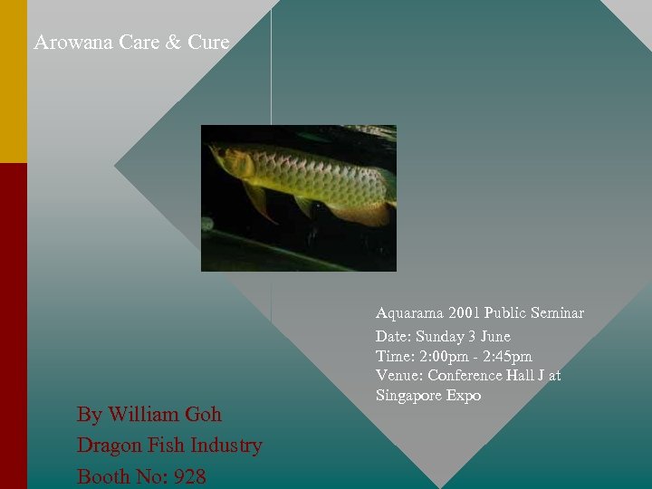 Arowana Care Cure By William Goh Dragon