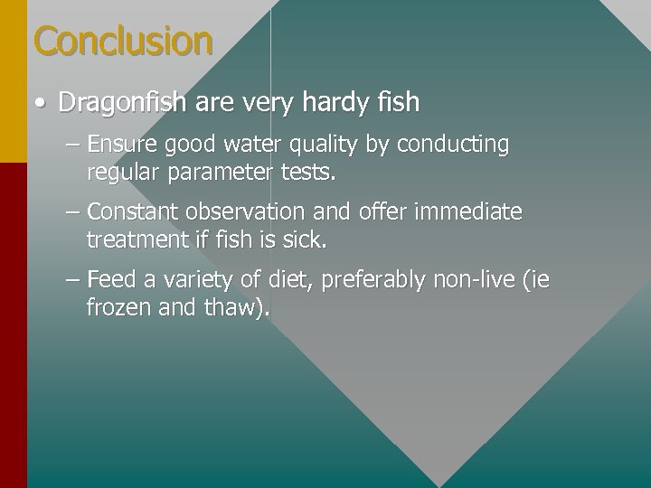 Conclusion • Dragonfish are very hardy fish – Ensure good water quality by conducting