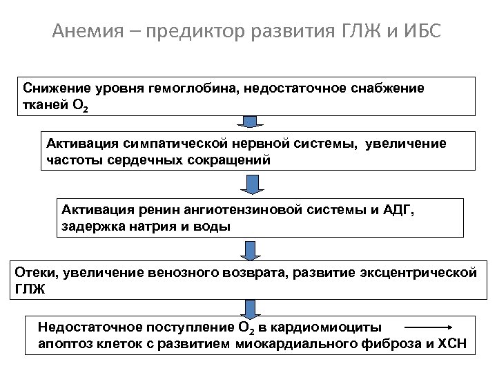 Анемия – предиктор развития ГЛЖ и ИБС Снижение уровня гемоглобина, недостаточное снабжение тканей О