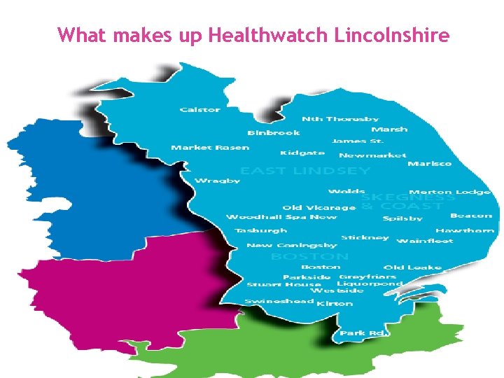 What makes up Healthwatch Lincolnshire 