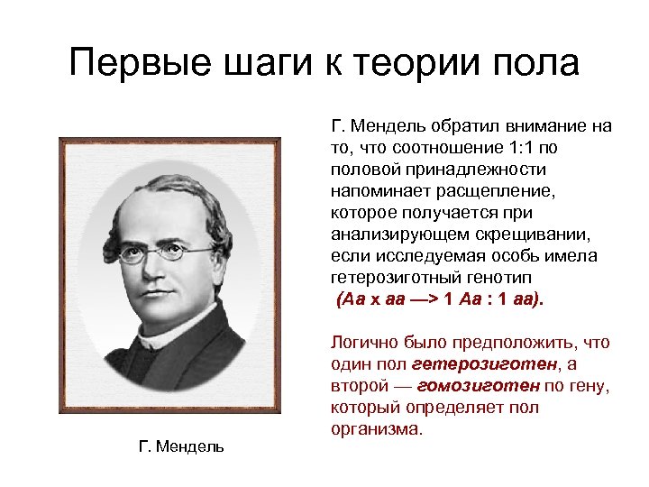 Первые шаги к теории пола Г. Мендель обратил внимание на то, что соотношение 1: