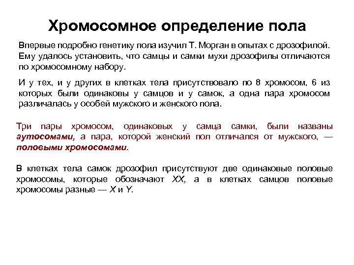 Хромосомное определение пола Впервые подробно генетику пола изучил Т. Морган в опытах с дрозофилой.