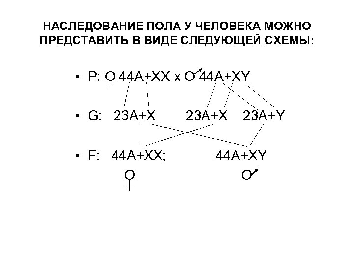 Наследование пола