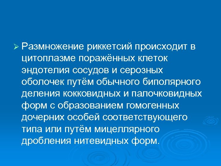 Ø Размножение риккетсий происходит в цитоплазме поражённых клеток эндотелия сосудов и серозных оболочек путём