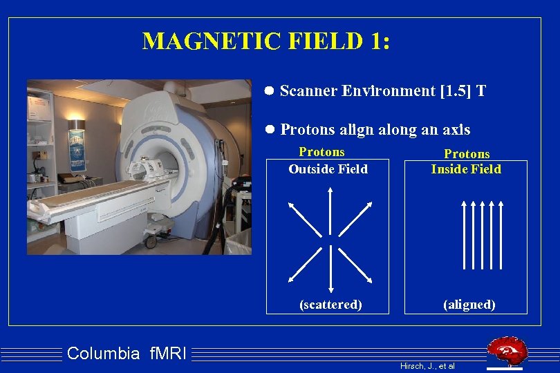 MAGNETIC FIELD 1: Scanner Environment [1. 5] T Protons align along an axis Protons