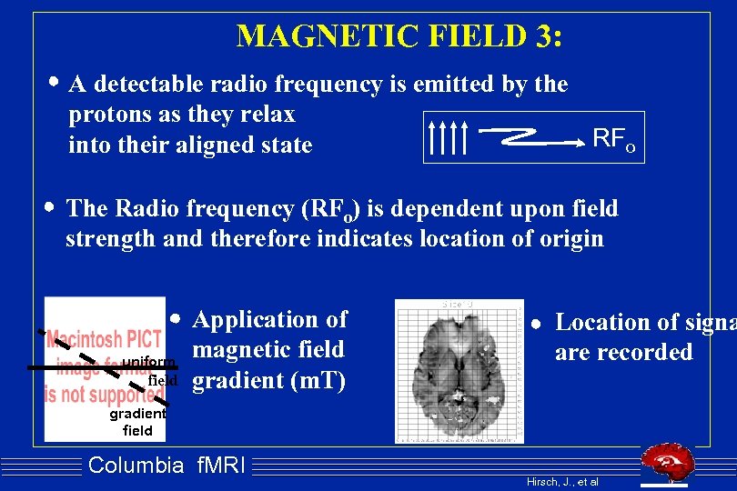 MAGNETIC FIELD 3: A detectable radio frequency is emitted by the protons as they