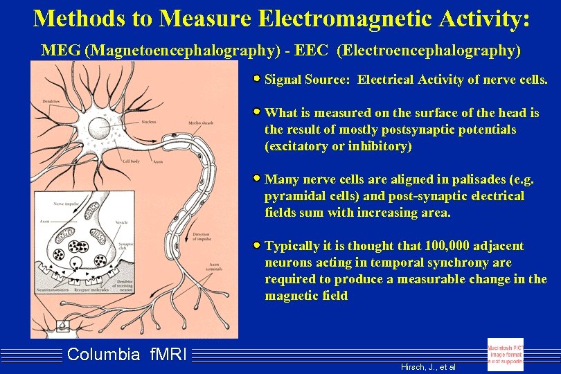 Methods to Measure Electromagnetic Activity: MEG (Magnetoencephalography) - EEC (Electroencephalography) Signal Source: Electrical Activity