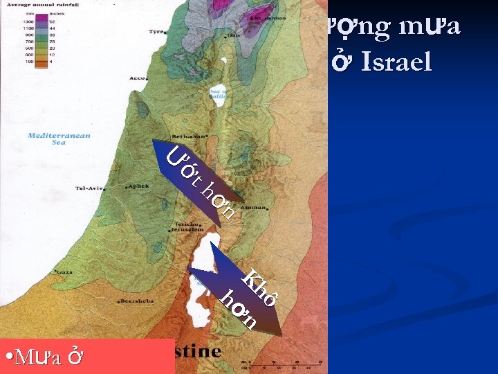 Lượng mưa ở Israel Ư ớt hơ n Kh hơ ô n • M