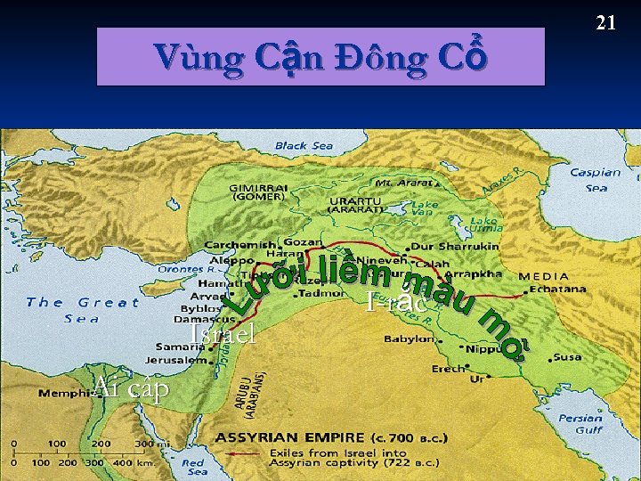 Vùng Cận Đông Cổ Israel Ai câp I-rắc 21 