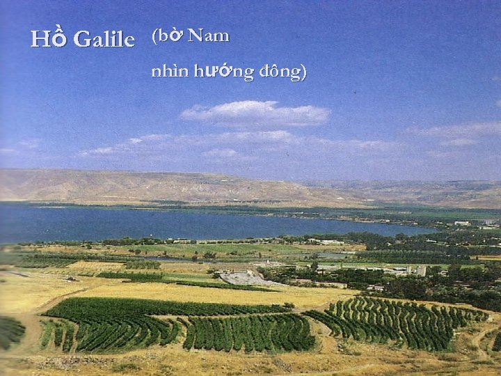 Hồ Galile (bờ Nam nhìn hướng đông) 