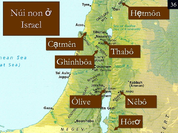 Núi non ở Israel Hẹtmôn Cạtmên Thabô Ghinhbôa Ôlive Nêbô Hôrơ 36 