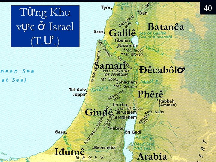 Từng Khu vực ở Israel (T. Ư. ) 40 Galilê Samari Batanêa Đêcabôlơ Phêrê