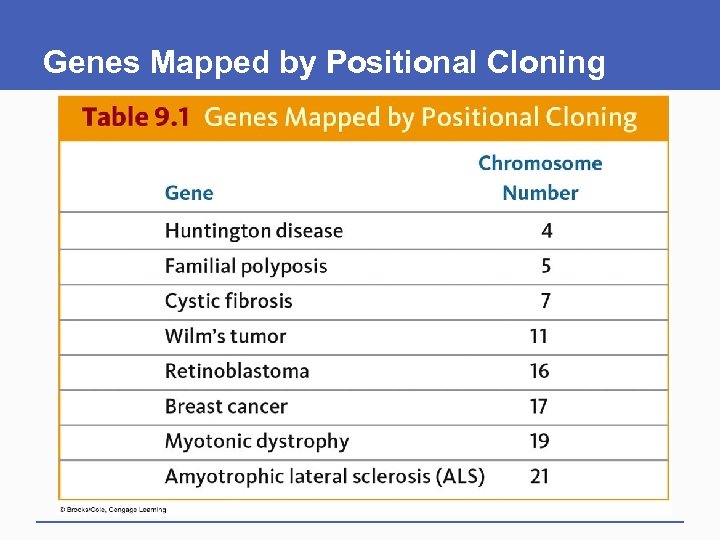 Genes Mapped by Positional Cloning 