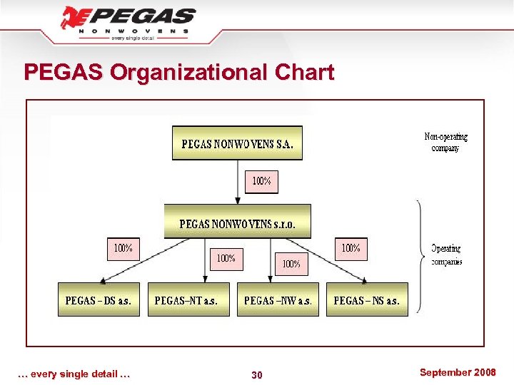 PEGAS Organizational Chart … every single detail … 30 September 2008 