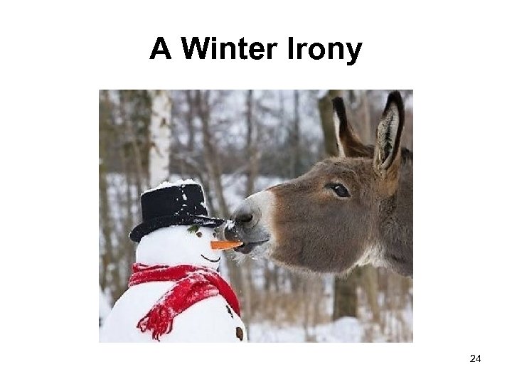 A Winter Irony 24 