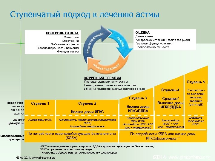 Ступенчатый подход к лечению астмы ОЦЕНКА КОНТРОЛЬ ОТВЕТА Диагностика Контроль симптомов и факторов риска