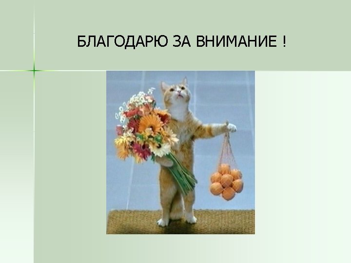 БЛАГОДАРЮ ЗА ВНИМАНИЕ ! 