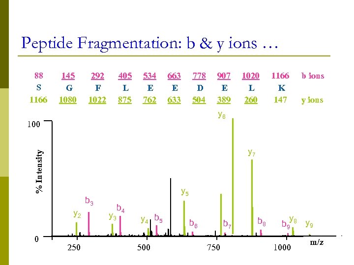 Peptide Fragmentation: b & y ions … 88 S 1166 145 G 1080 292