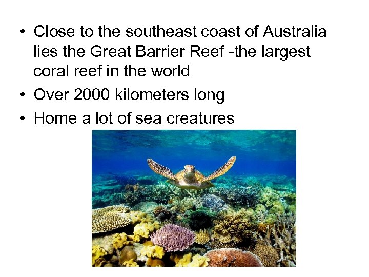  • Close to the southeast coast of Australia lies the Great Barrier Reef
