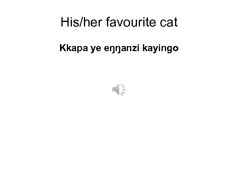 His/her favourite cat Kkapa ye eŋŋanzi kayingo 
