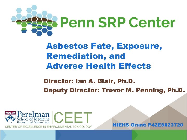 Asbestos Fate, Exposure, Remediation, and Adverse Health Effects Director: Ian A. Blair, Ph. D.