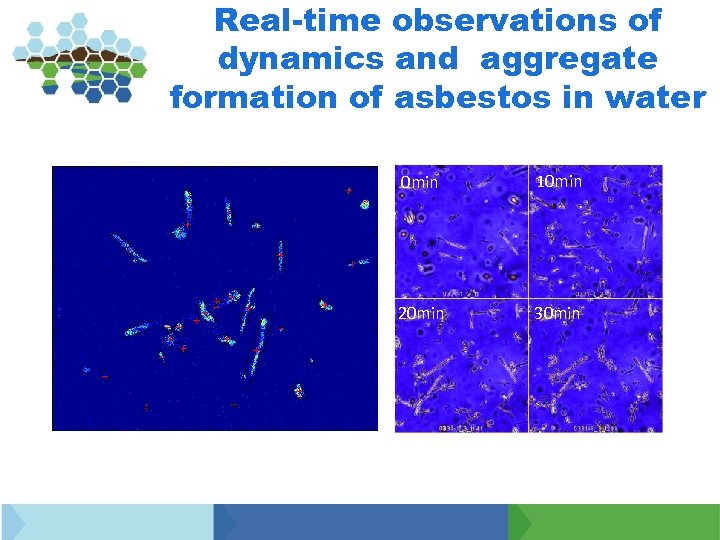 Real-time observations of dynamics and aggregate formation of asbestos in water 0 min 10