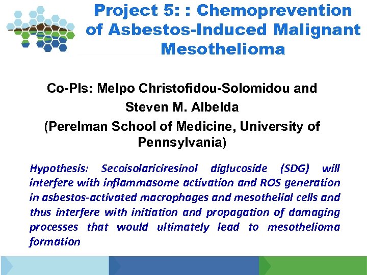 Project 5: : Chemoprevention of Asbestos-Induced Malignant Mesothelioma Co-PIs: Melpo Christofidou-Solomidou and Steven M.