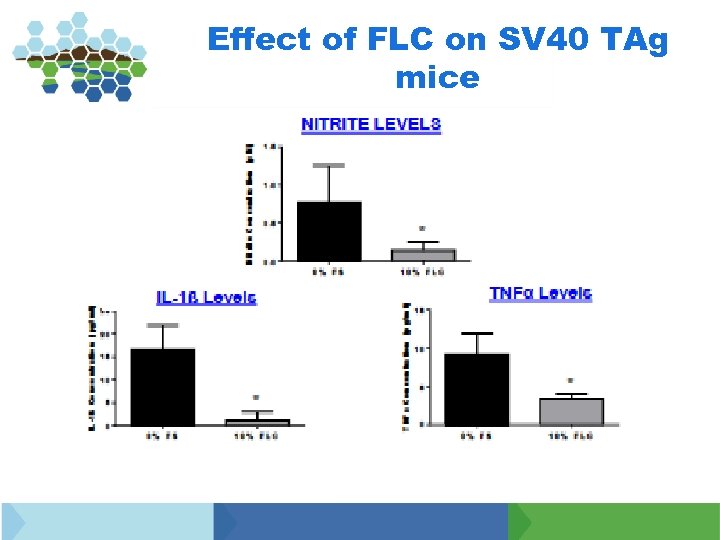 Effect of FLC on SV 40 TAg mice 