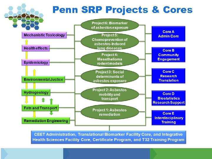 Penn SRP Projects & Cores 